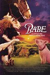 Babe poster